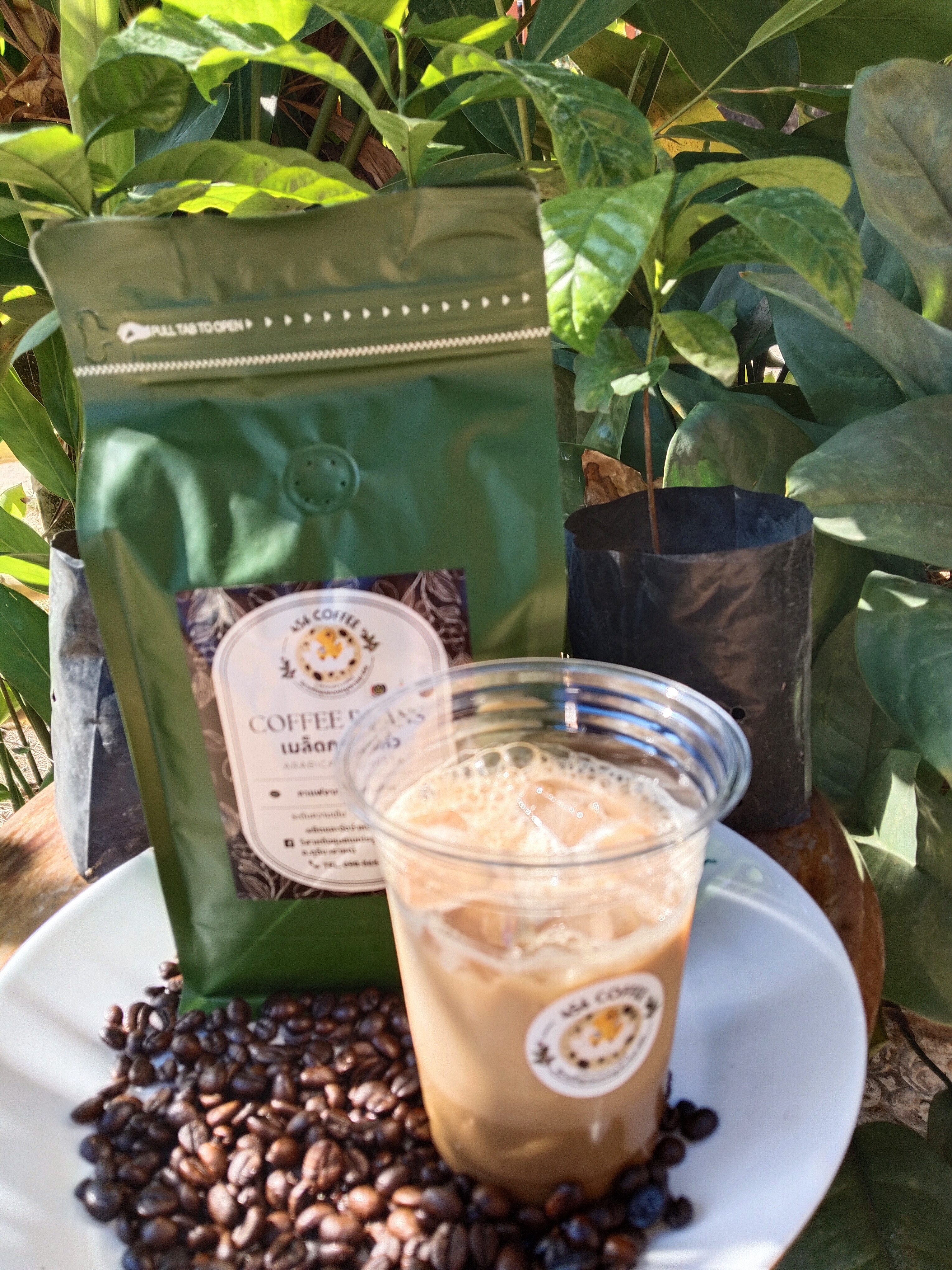 เมล็ดกาแฟ 456 กาฬสินธุ์    Finerobasta (กลิ่นดอกไม้ผลไม้)คัดเมล็ดสุกเต็มที่ตากสะอาดคั่วอย่างมีคุณภาพสูงเหมาะชงเมนูลาเต้คาปูชิโน่เมนูชากาแฟชงร้อน/เย็น สดชื่นติดใจ